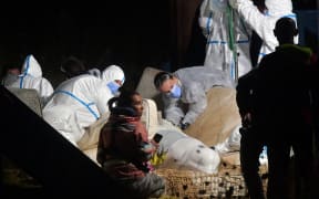 Veterinarians take care of a beluga whale that was stranded in the River Seine at Notre Dame de la-Garenne, northern France, on August 9, 2022. - French marine experts launched an ambitious operation on August 9 to rescue an ailing beluga whale that swam up the Seine river, to return it to the sea. The four-metre (13-foot) cetacean, a protected species usually found in cold Arctic waters, was spotted a week ago heading towards Paris, and is now some 130 kilometres inland. (Photo by JEAN-FRANCOIS MONIER / AFP)