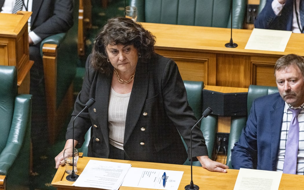 New Zealand First MP Casey Costello speaks in the first reading debate for the Principles of the Treaty of Waitangi Bill.