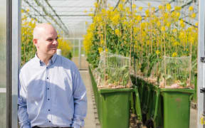 New Zealander Rod Snowdon has been living in Giessen, Germany, for a quarter of a century.