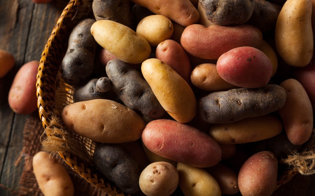Raw organic fingerling potatoes in a basket.