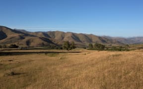 Jollies Hill in Southland in early December.
