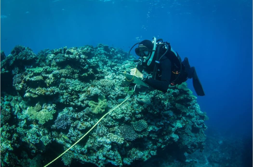 Underwater research at Hunga Tonga-Hunga Ha'apai.