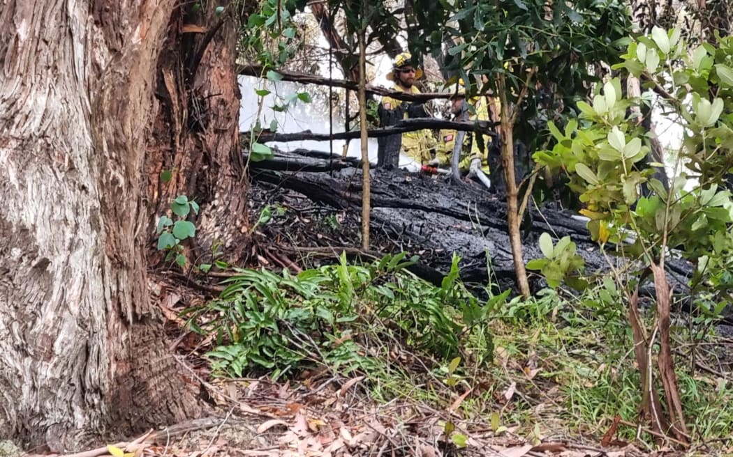A vegetation fire in Spinnaker Reserve in Whitby on 29 January 2025.