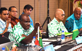Delegates at the Melanesian Spearhead Group meeting in Fiji.
