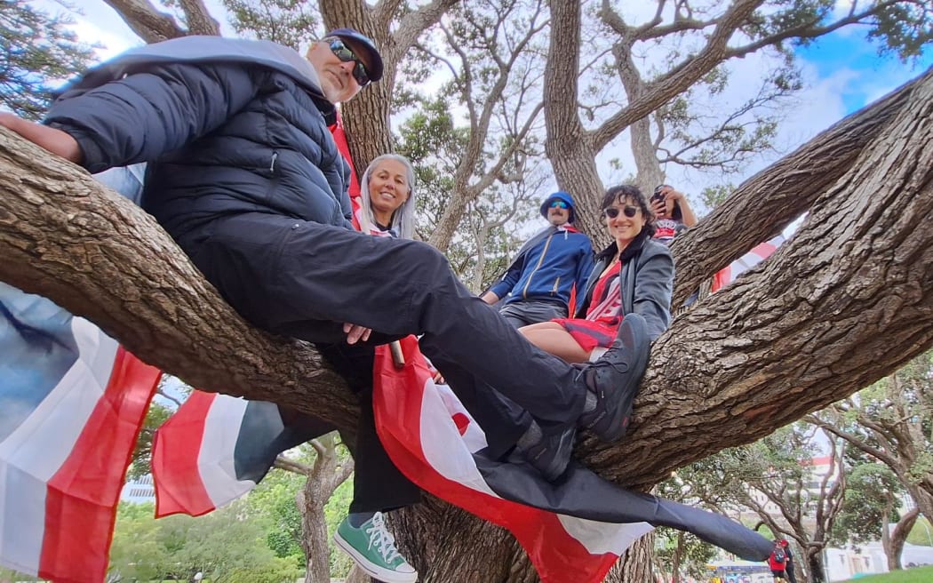 The Paul-Burkes family in a tree in Parliament grounds,  travelled to take part from Tauranga and Dunedin.