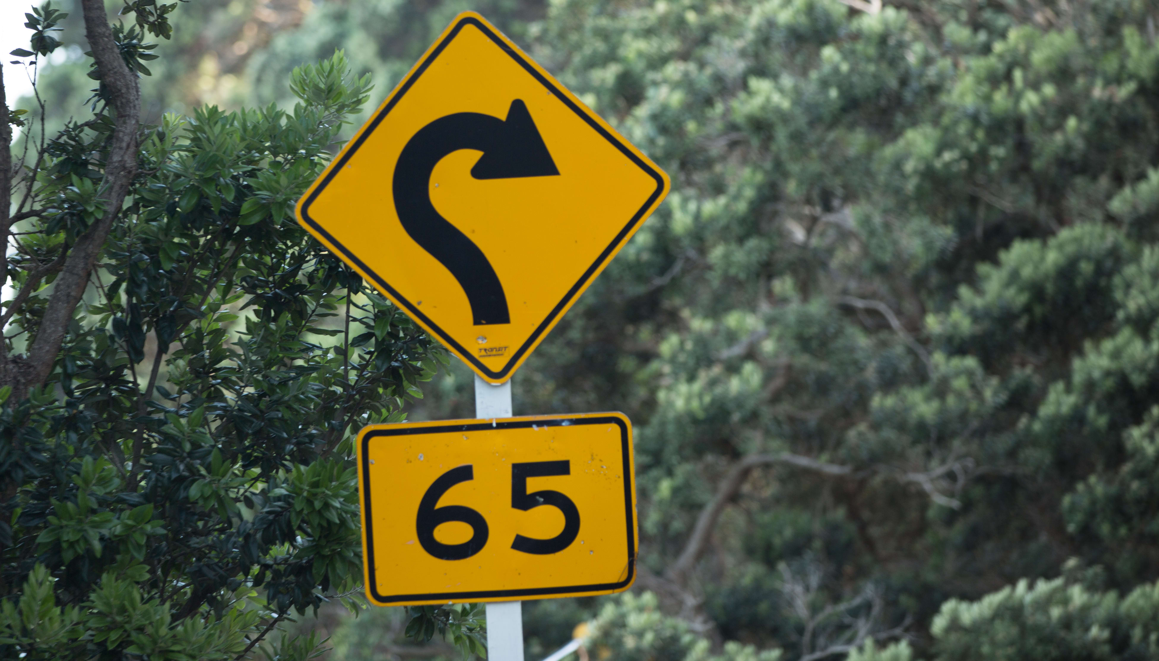 A road sign indicating a 65km speed around a tight corner on a rural road in the Coromandel.