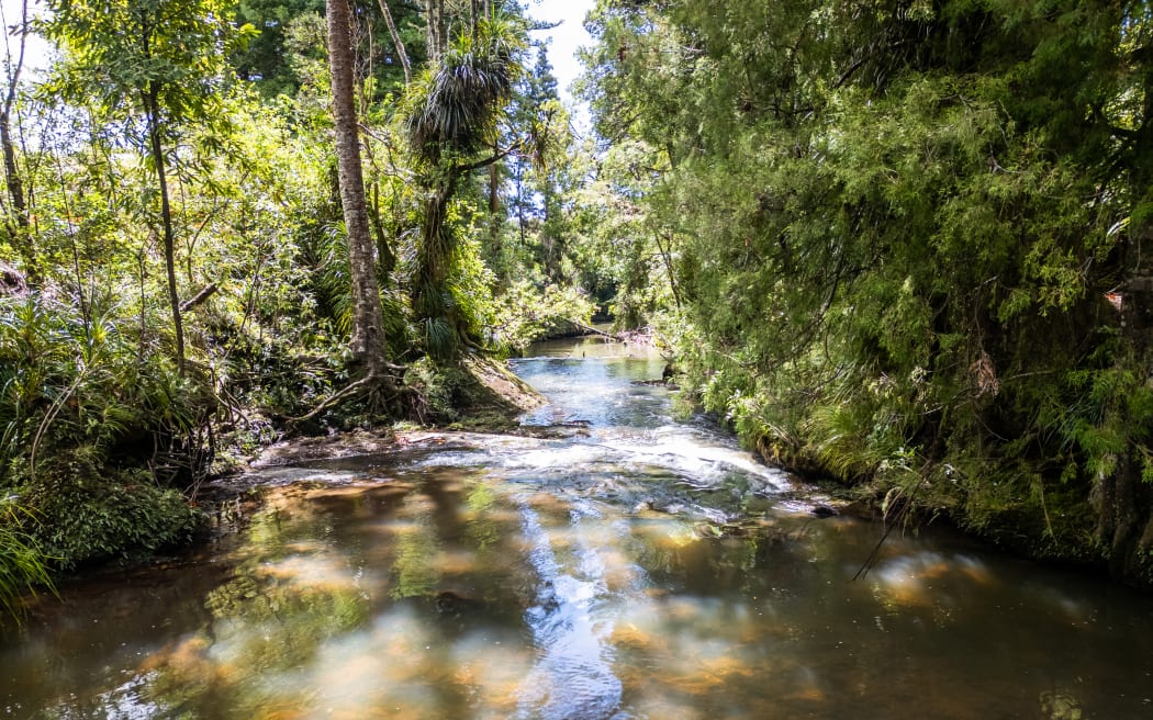 River that had washed Tekanimaeu Arobati away