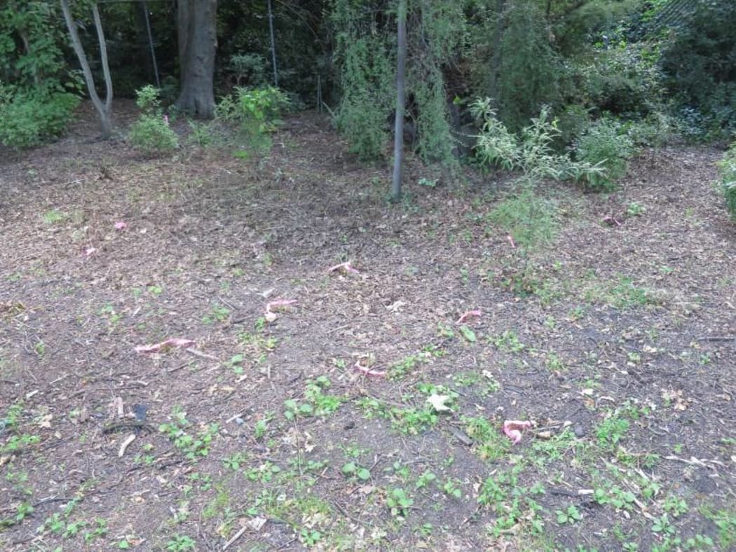 The same area after contractors have been through.
