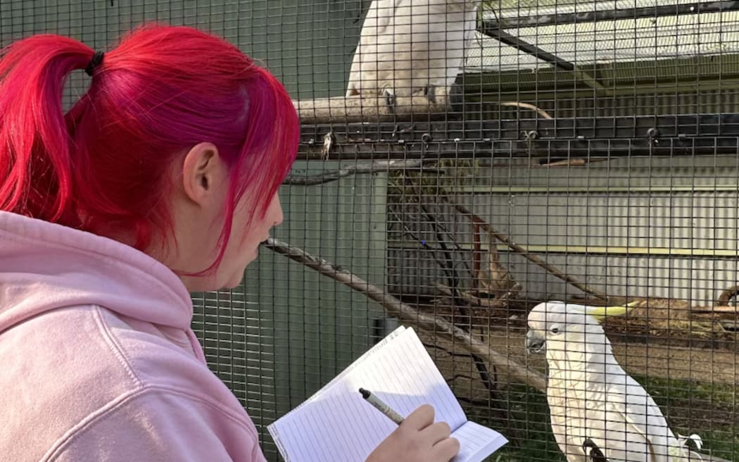 Natasha Lubke hopes music can be used to enrich the lives of captive cockatoos.