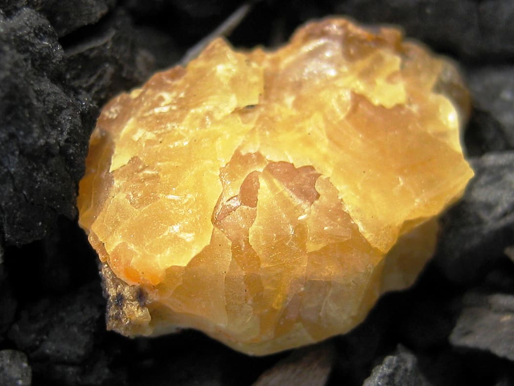 Golden opaque amber