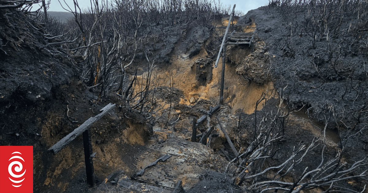 The fire is out, but Tongariro is now at risk of losing its unique biological legacy