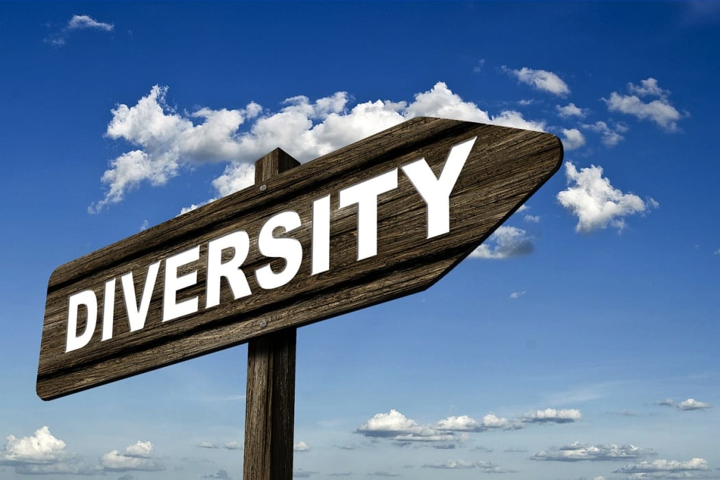 Heading down the diversity route isn't necessarily easy.