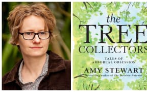 The urge to collect trees comes from a longing for community, a vision for the future and a path to healing, Amy Stewart says.