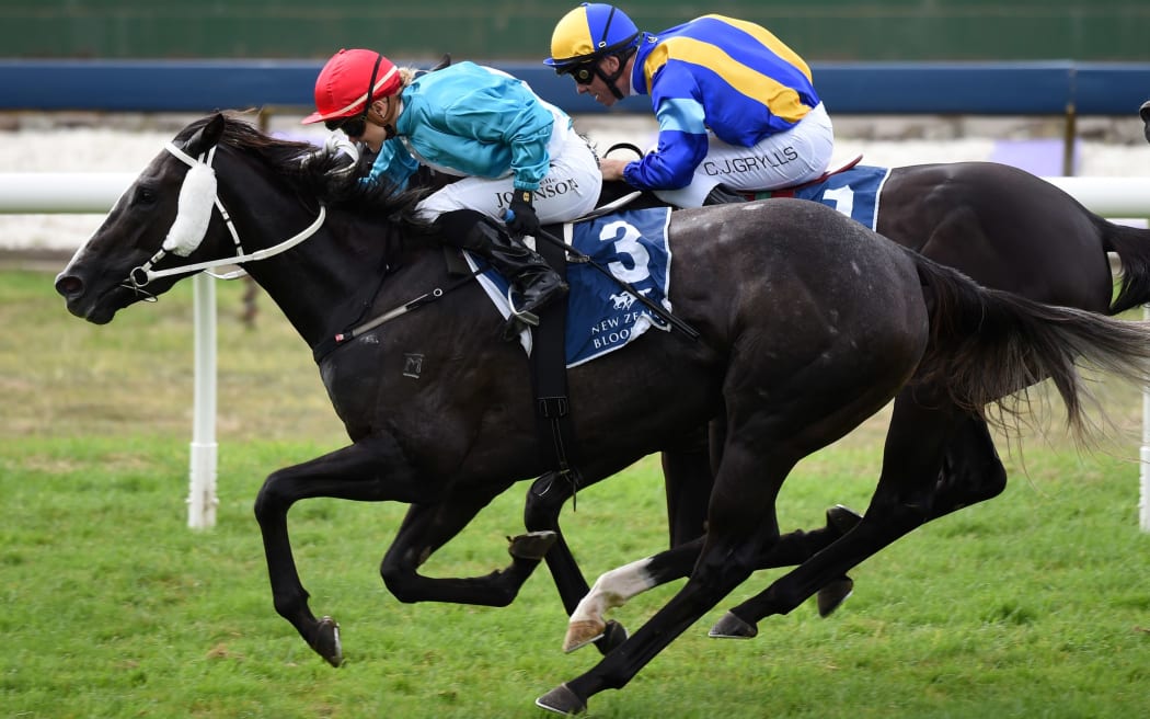 Danielle Johnson in action at Auckland Cup day 2015.