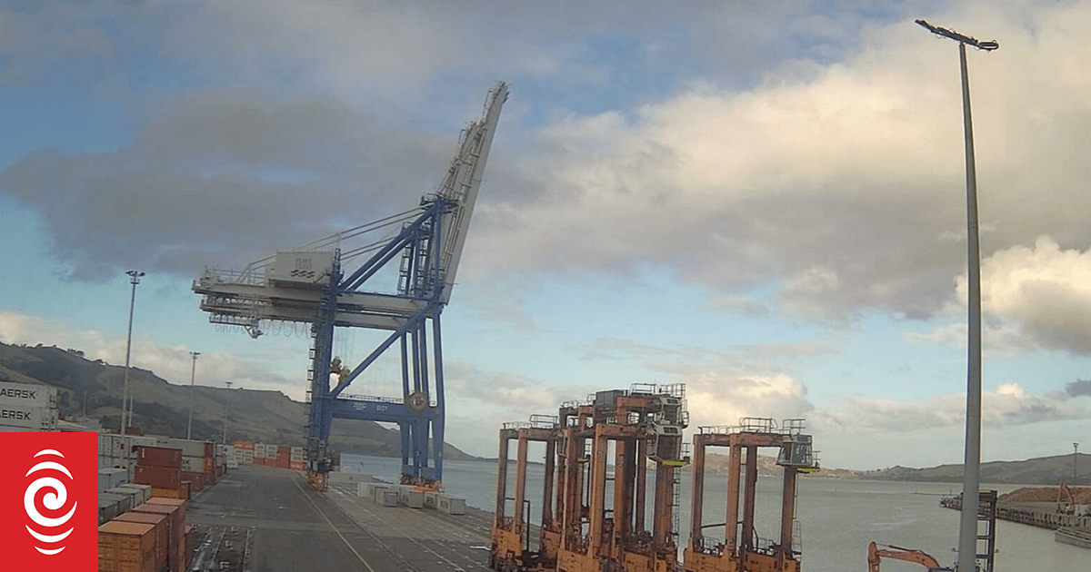 Customs seize major cocaine haul at Port Chalmers