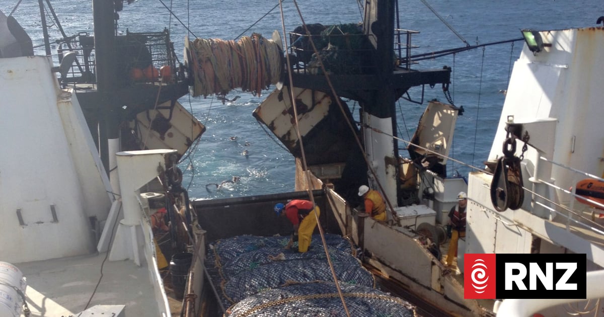 Fish dumping a 'beatup' - fishing federation | RNZ