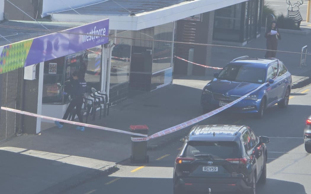 Police at the scene in Avondale.