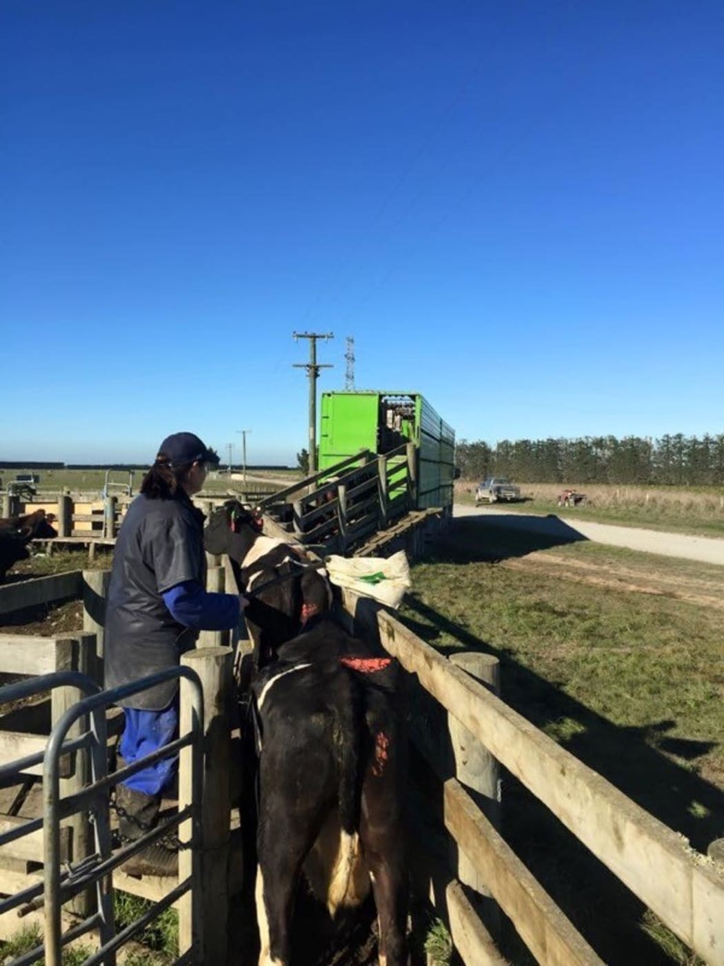 Michael and Susie Woodward moving their farm