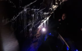 Glow worm threads, important for glow worm feeding in Waitomo cave