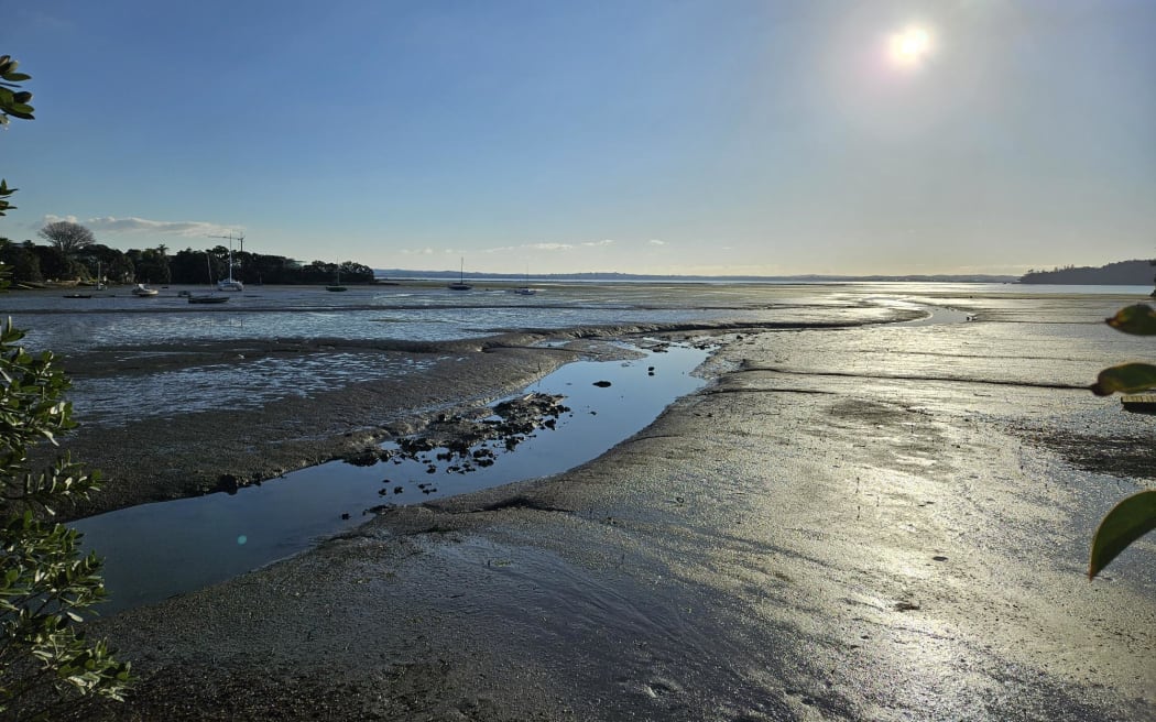 Cox's bay at low tide. The headland visible at the left is Pipers Point, just above which is where the helicopter is proposed to land.