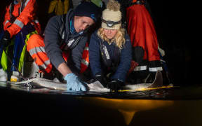 Two women wearing beanies, warm weather gear and rubber gloves crouch on the edge of dark water at night, holding the back of a shark just out of the water.