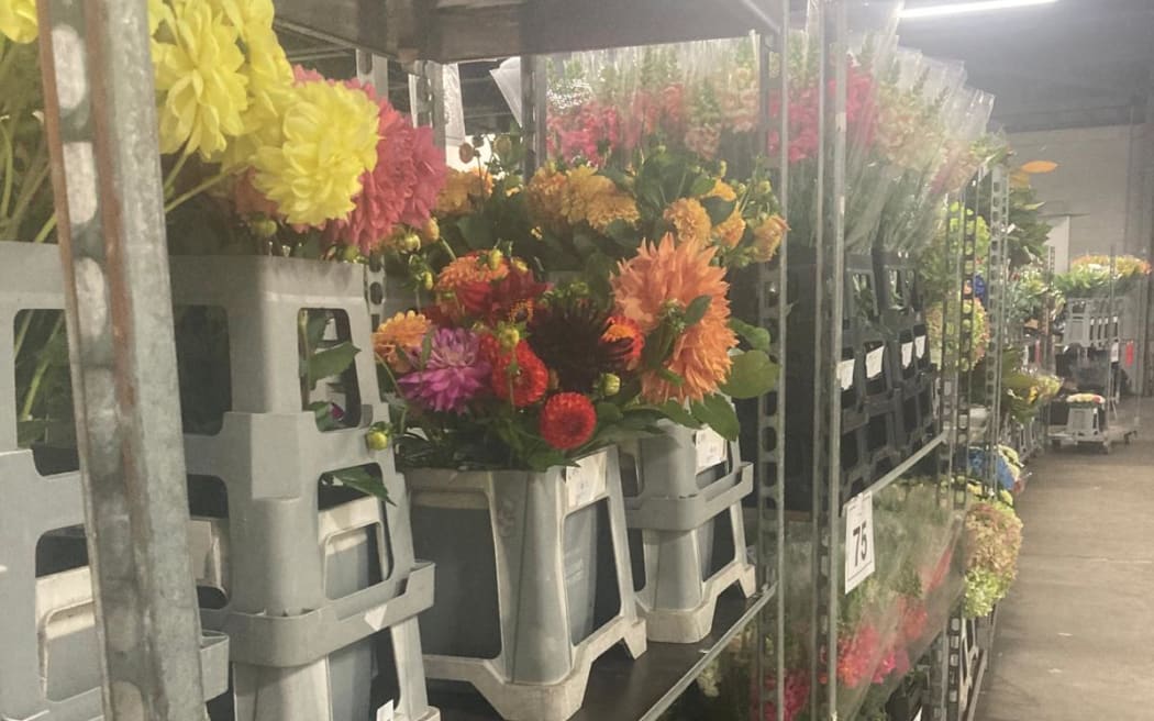 The United Flower Growers market in the Auckland suburb of Mt Wellington, the day before Valentines Day 2024.