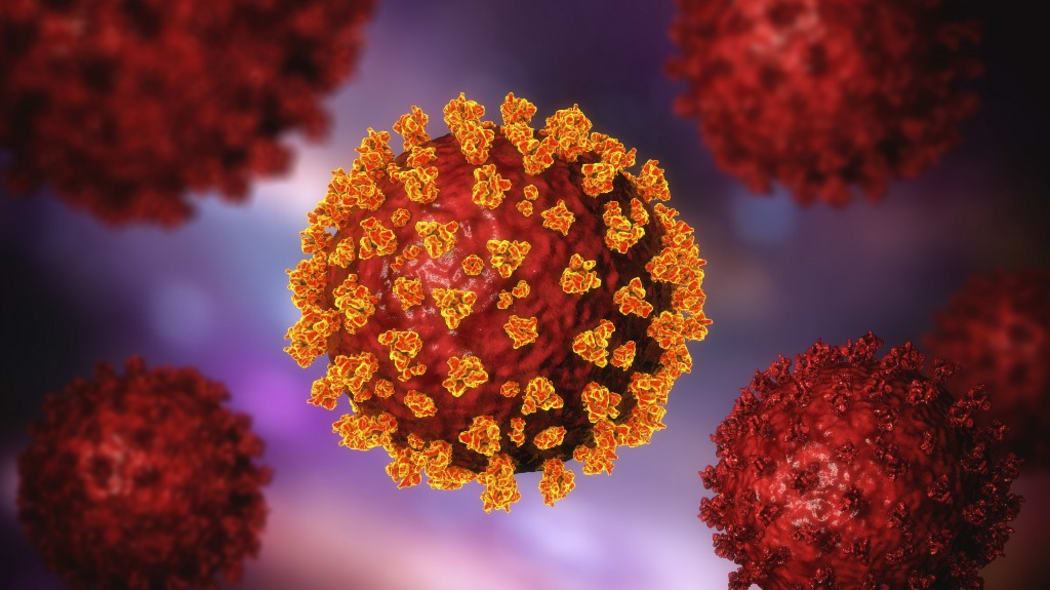 Covid-19 coronavirus particles, illustration. The SARS-CoV-2 coronavirus was first identified in Wuhan, China, in December 2019.