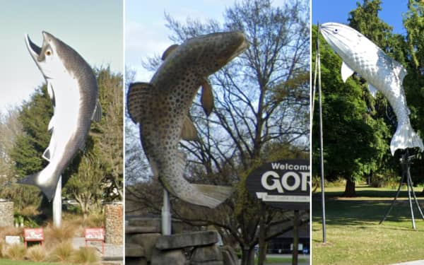 A composite picture of various fish sculptures across New Zealand. From left, the salmon sculpture in Rakaia, the brown trout in Gore and the metal trout in Taupō.