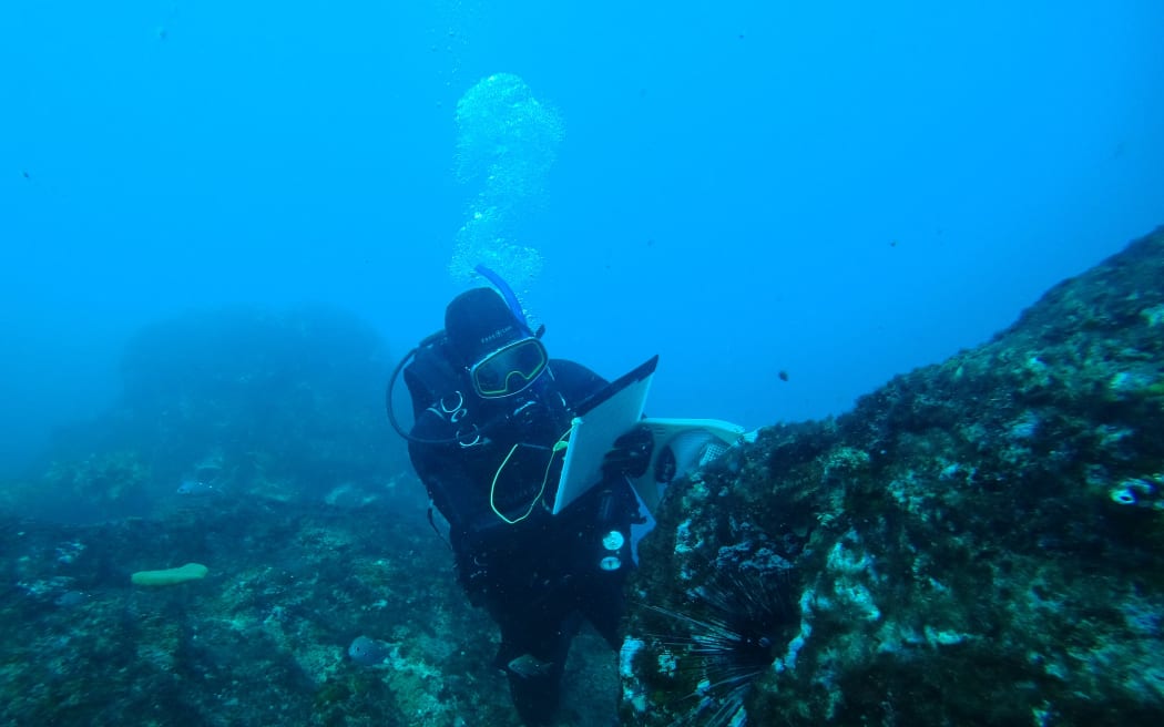 University of Canterbury Marine Science Distinguished Professor David Schiel underwater.