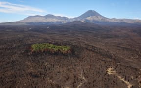 Damage from the latest fire to hit Tongariro, as seen from the air.