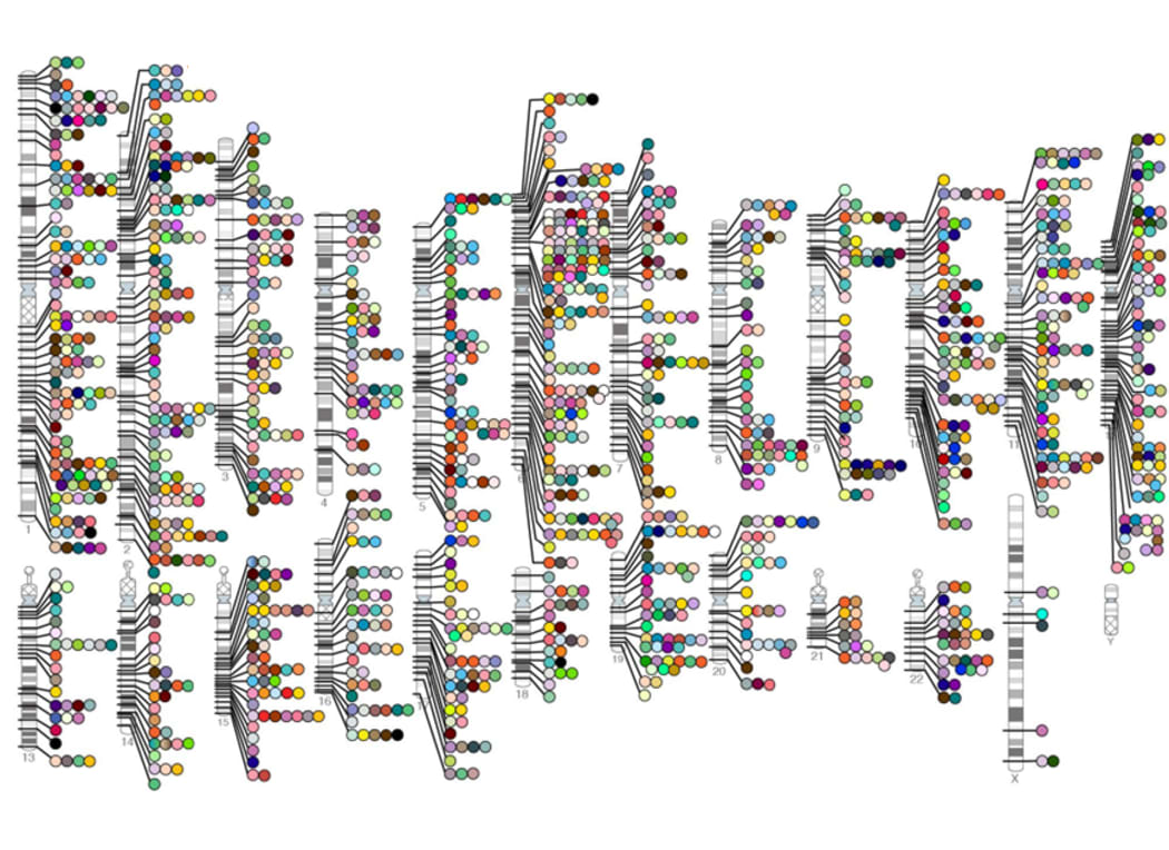 Chromosome map of disease associated regions