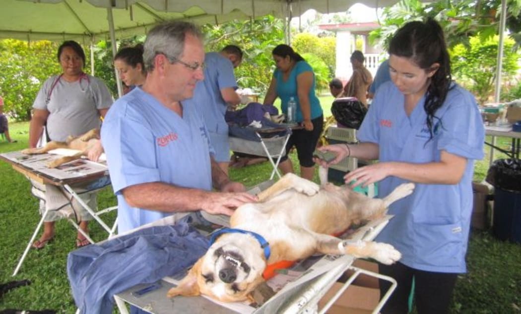 SPAW veterinarians working in the Pacific.