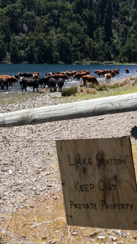 Lake Station