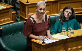 Marama Davidson, after time off for cancer treatment, is back at Parliament and is already busy with her members bill.