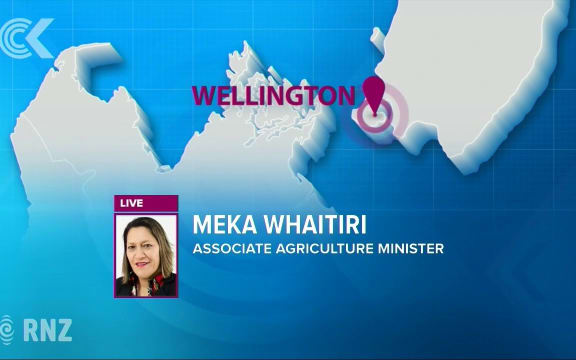 Meka Whaitiri on animal abuse and MPI's processes