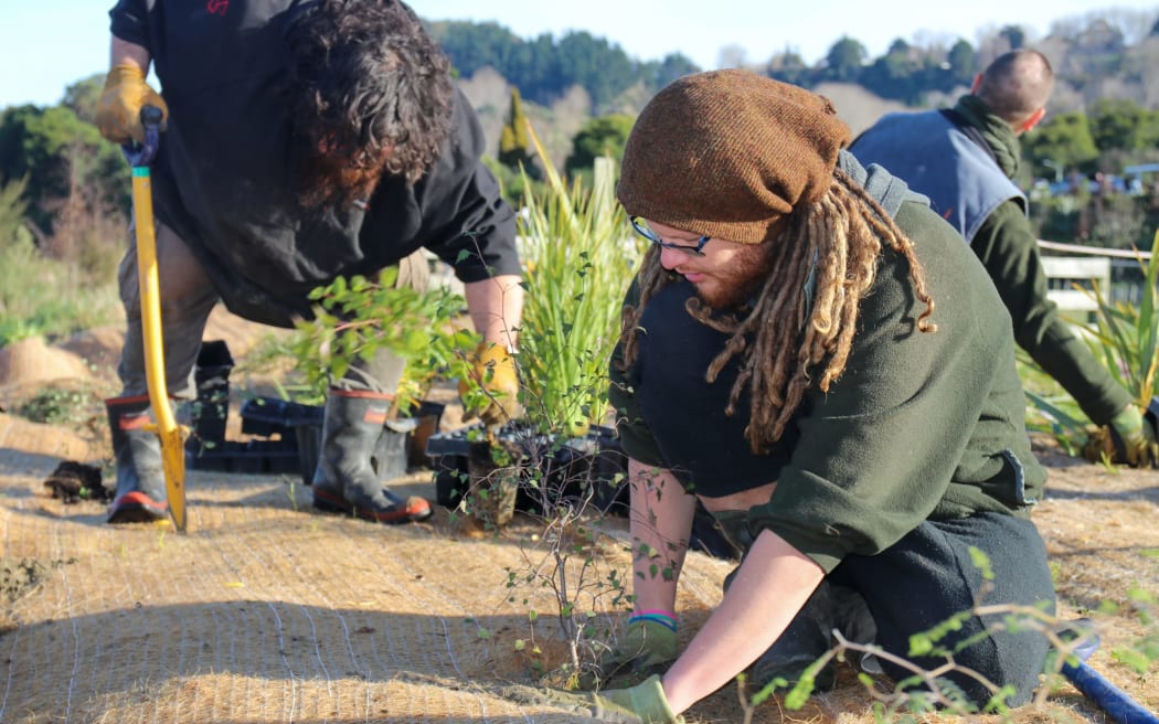 Volunteer working near Whanganui River - single use only