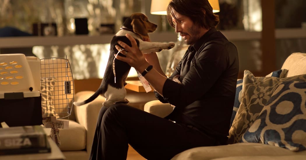 John Wick meets the beagle who is going to kick the whole thing off by becoming a victim of the Russian mob in the first film.