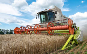 Farmers harvest a wheat field in the Ukrainian region of Kharkiv on 19 July, 2022.