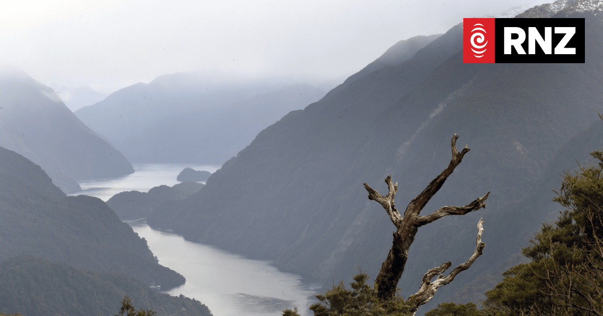 Fiordland Navigator ship that ran aground in Doubtful Sound investigated by TAIC in 2006 - Vimarsana News