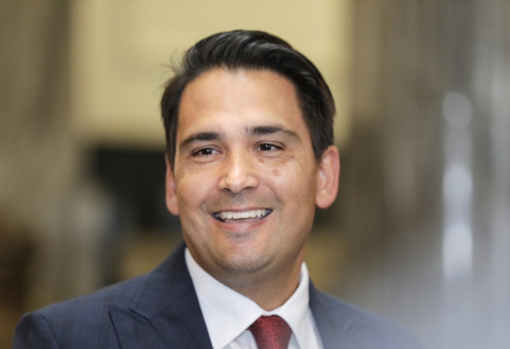Simon Bridges will stand for National Party leader.