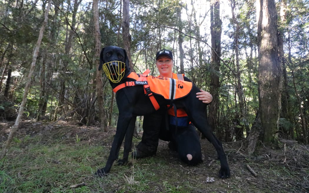 Shaka and his handler/trainer Gaelyn Dewhurst