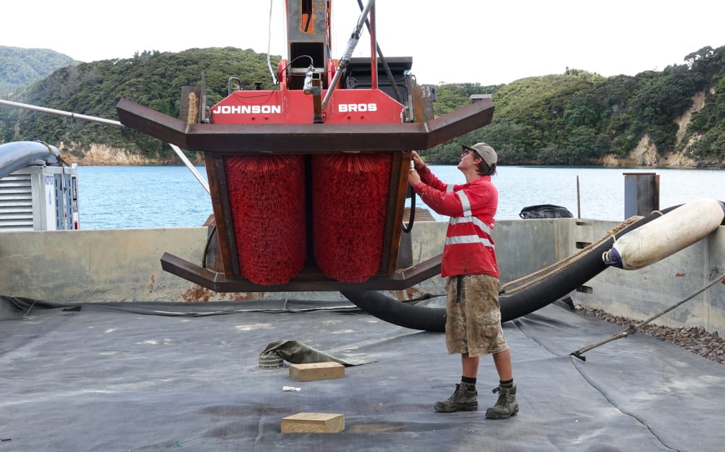 Johnson Brothers marine apprentice William Scott from Ōpua checks the dredge head.