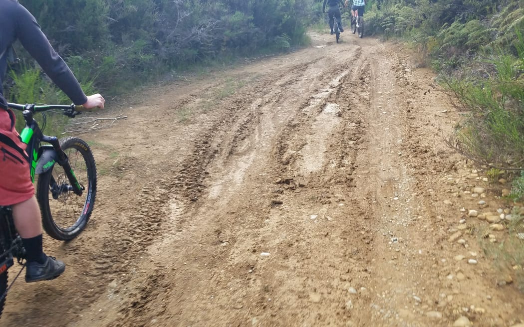 An area in Snowdon Forest where Te Anau Cycling hoped to build a trail.