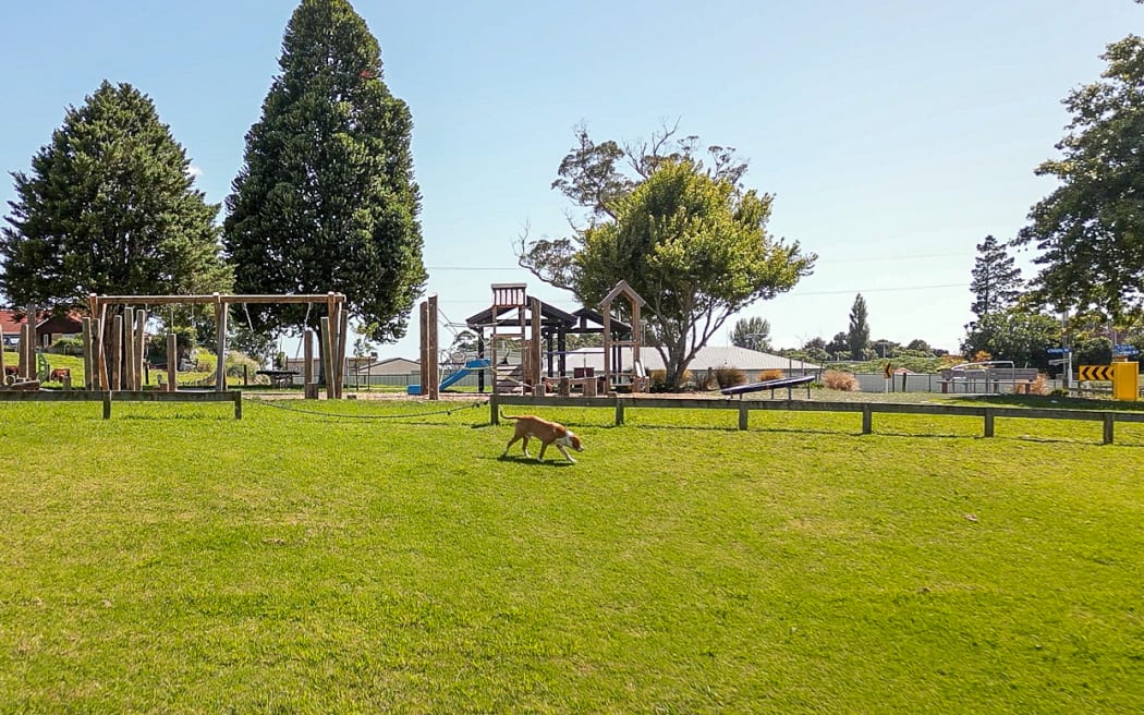 Roaming Dog by a playground