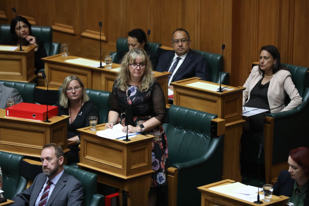 Labour MP Jan Tinetti in the House 21 Feb 2018