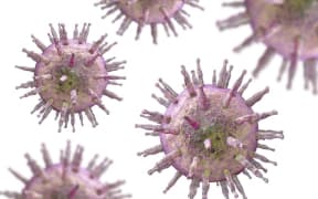 Illustration of the Epstein-Barr virus