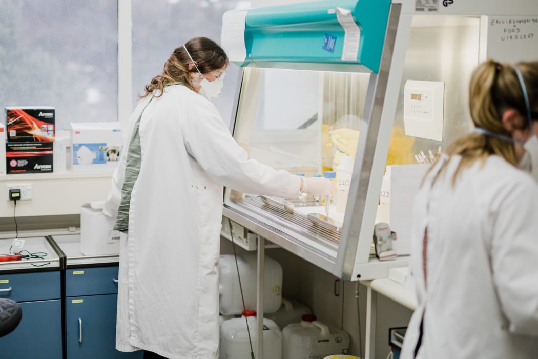Researchers test waste water samples from managed isolation facilities.