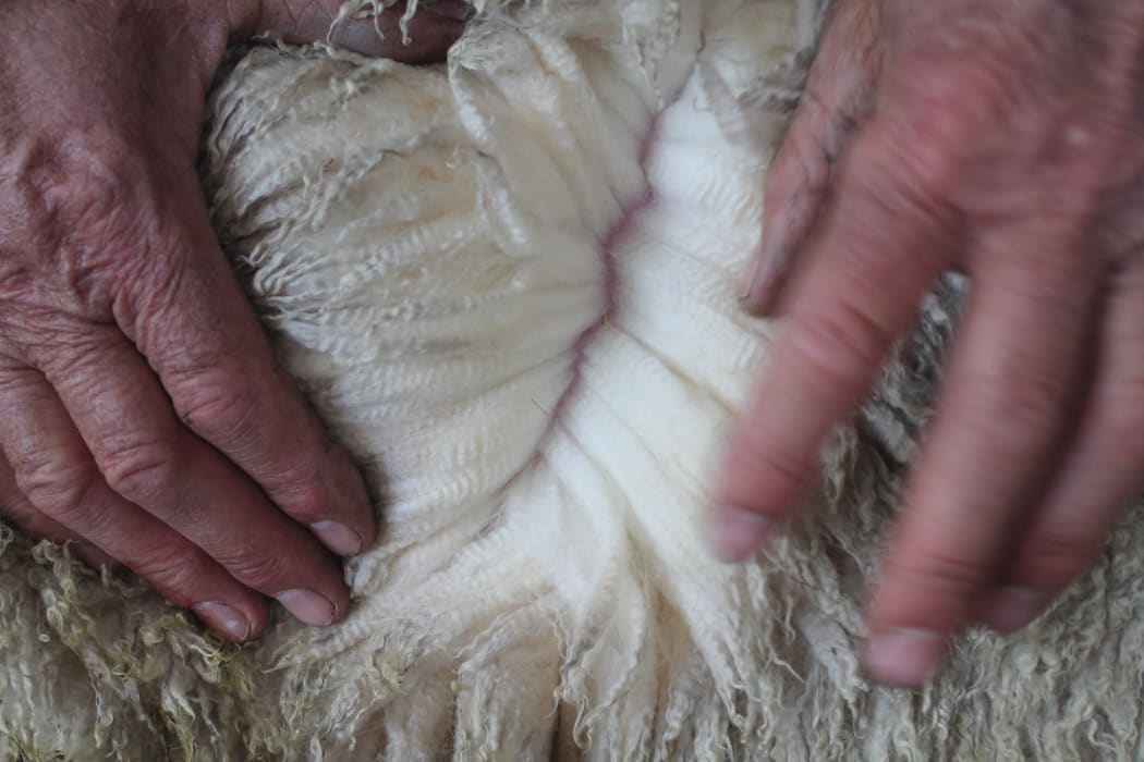Demand up for New Zealand wool grease RNZ News