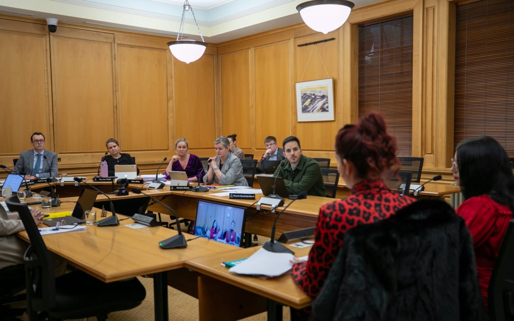 MPs listen as Vixen Temple and Laura Phillips make a submission to select committee