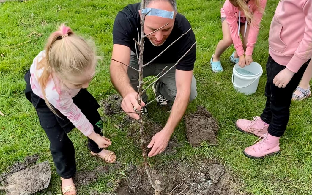 Tomarata school pupils planting fruit trees.